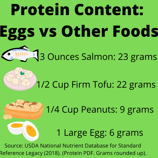 Graphic listing protein content of foods compared to eggs