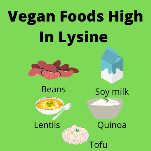 Graphic describing vegan foods high in lysine, an amino acid.