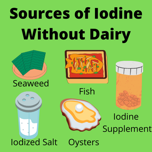 Graphic showing sources of iodine sans dairy.
