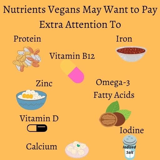 Nutrients vegans may need to pay more attention to including (listed in post text)