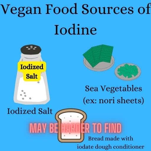 Graphic showing vegan food sources of iodine.