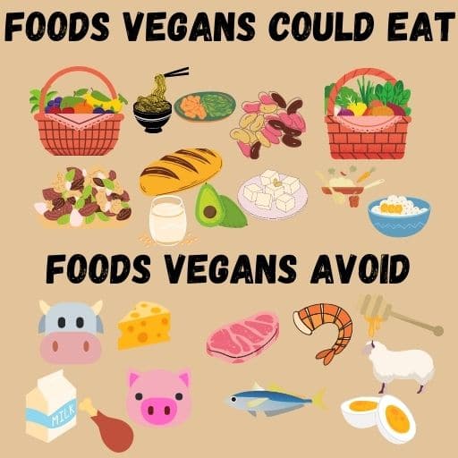 Graphic showing Foods Vegans Could Eat and Foods Vegans Avoid (also broadly written in text).