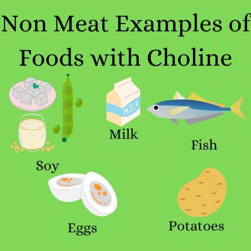 graphic showing non meat examples of choline foods including eggs, soy, potatoes and milk.