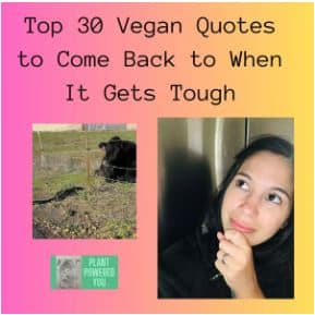 small featured image that has a picture of Christine, a cow, and the plant powered you logo. Text reads: top 30 vegan quotes to come back to when it gets tough