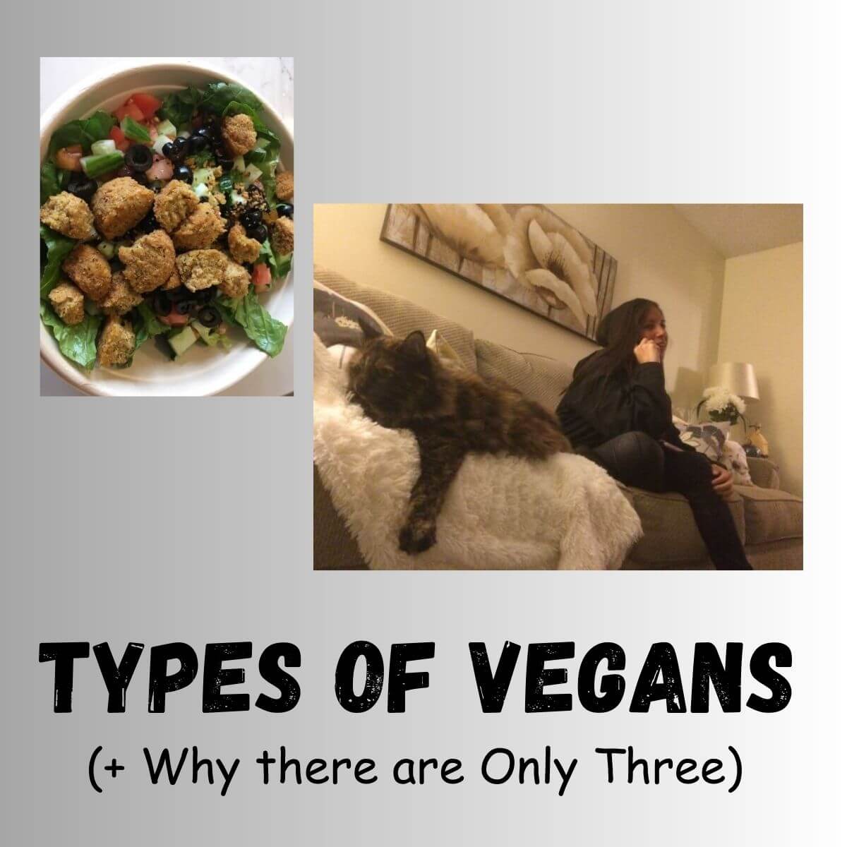Text reads: Types of Vegans (+ why there are only three). There is a picture of Christine on a couch with a cat. Second picture of a falafel salad.