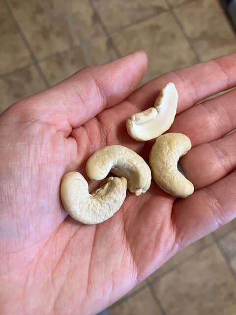 hand holding cashews